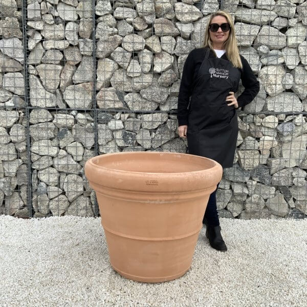 Terracotta Tuscan Pot Rolled Rim Large 80 (Handmade) - 1D5477B6 16D3 419F AF67 4134319EDA4B 1 105 c 1