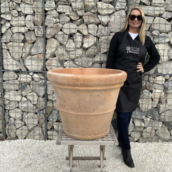 Terracotta Tuscan Aged Pot Rolled Rim Large 70 (Handmade) - 6032A392 F98A 4276 A295 E073FAD1F62C 1 105 c 1