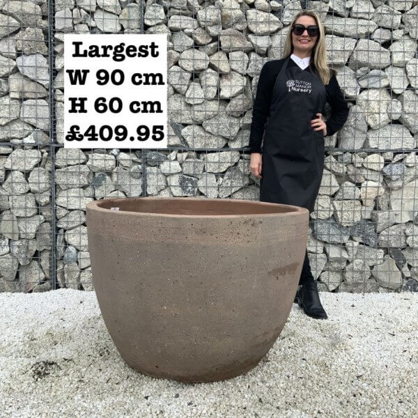 The Sa Dec Old Stone Plant Pots - 9C30F87E F69F 452B 96AF 457BC2361C3E 1 105 c