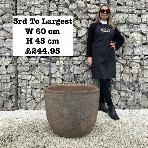 The Dong Hoi Old Stone Plant Pots - 57BAEF62 D6D4 4C67 8DCB B50685E7FFA3 1 105 c