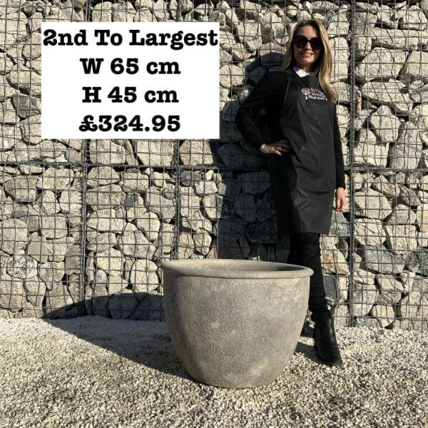 The Tam Coc Atlantis Shades Of Grey Plant Pots - F1BA4B02 3F4A 41DF A90A 3427CEA0C5F4 1 105 c