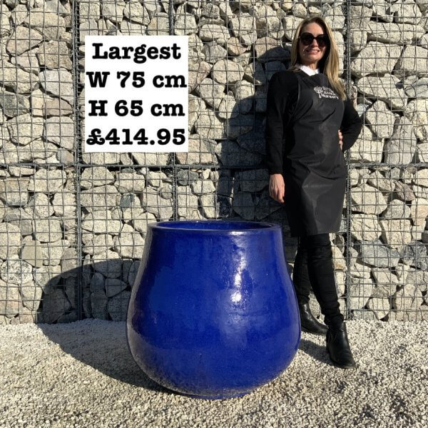 The Lang Co Glazed Royal Azure Blue Plant Pots - 6752435F 0F61 4F31 AE67 7DBFFD237A8B 1 105 c