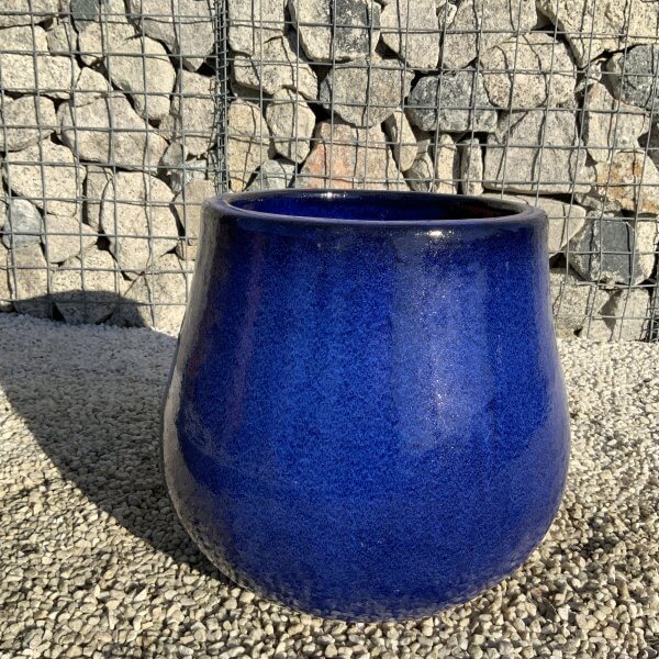 The Lang Co Glazed Royal Azure Blue Plant Pots - IMG 3209 scaled